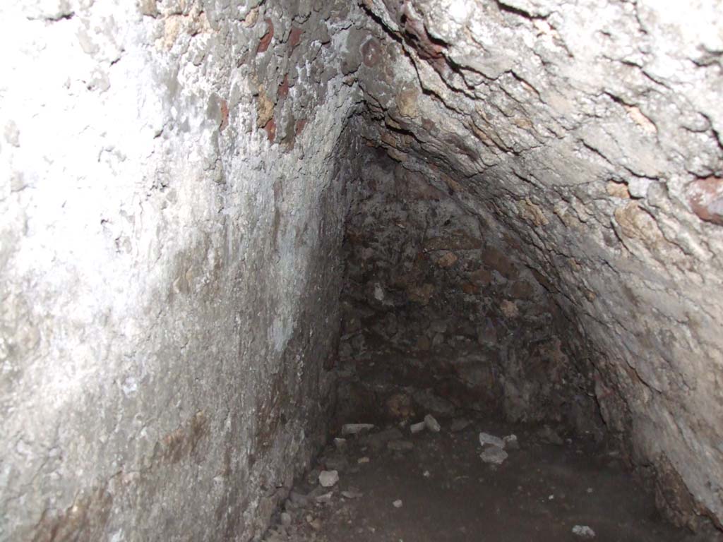 V.1.26 Pompeii. March 2009. Cellar. Looking south.