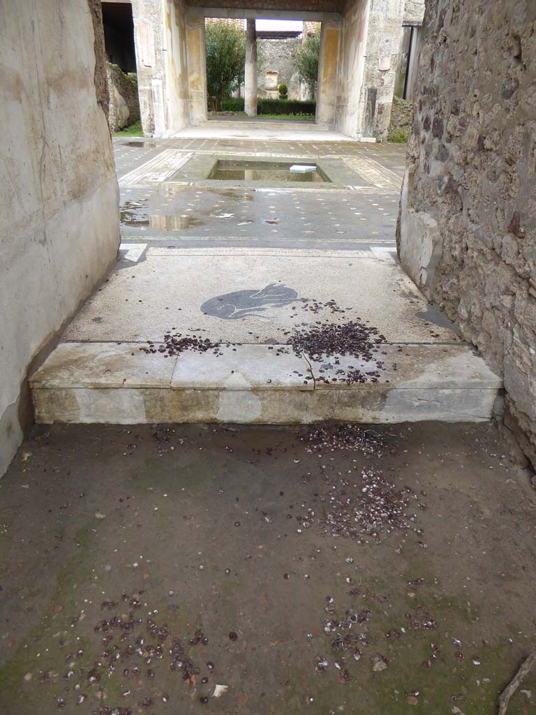 V.1.26 Pompeii. January 2017. 
Looking east across mosaic in vestibule towards mosaic flooring and impluvium in atrium.
Foto Annette Haug, ERC Grant 681269 DÉCOR.
