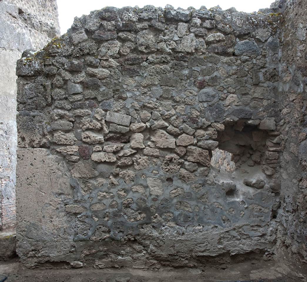 V.1.30 Pompeii. c.2010.
Looking towards west wall in rear room. Photo by Hans Thorwid.
Photo courtesy of The Swedish Pompeii Project.
