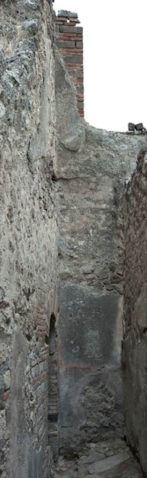 V.1.31 Pompeii. c.2010. 
East wall of room 3, corridor. Photo by Hans Thorwid.
Photo courtesy of The Swedish Pompeii Project.
