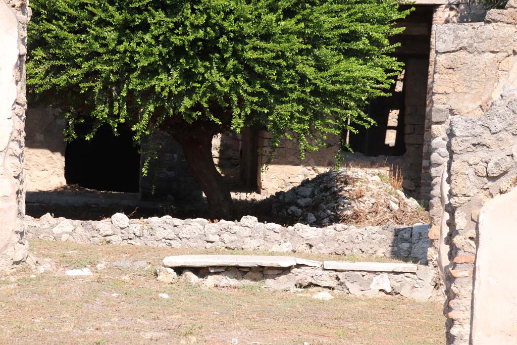 V.2.4 Pompeii. September 2021. Room 5, looking north across tablinum towards peristyle/garden. Photo courtesy of Klaus Heese.