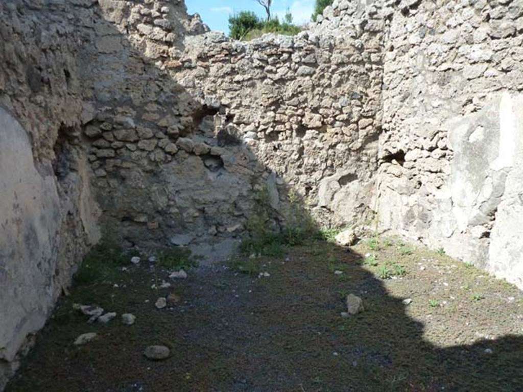 V.2.13 Pompeii. September 2015. Looking towards the north wall of the rear room.