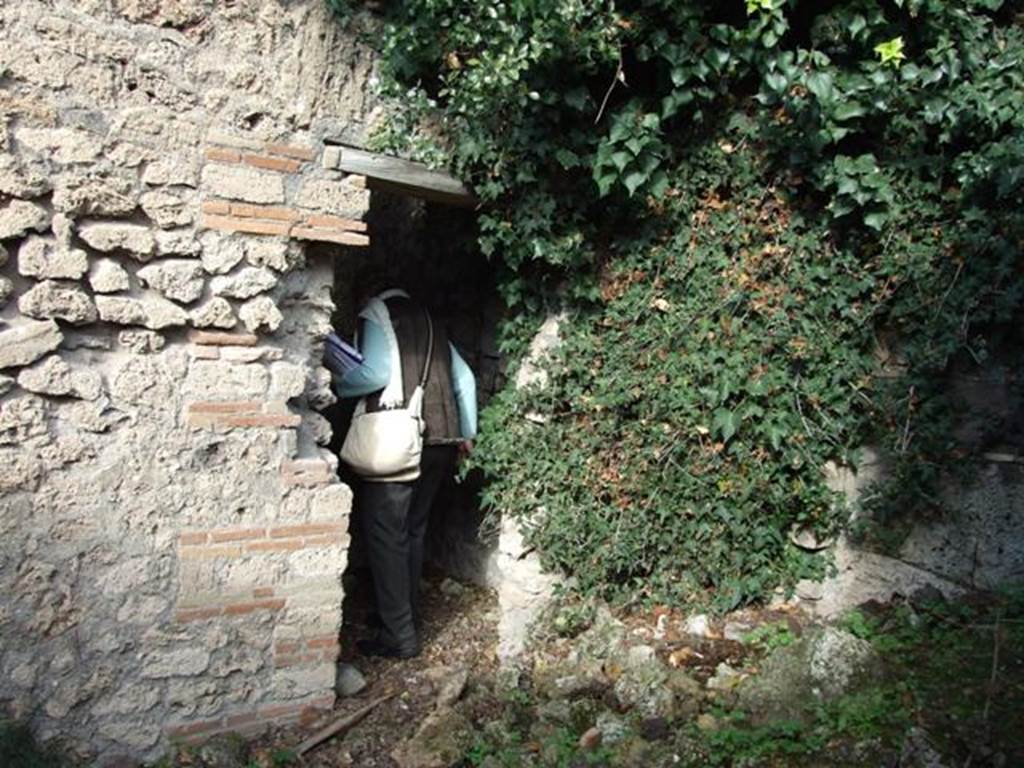 V.2.15 Pompeii. December 2007. Doorway leading to a corridor 11a, leading to another peristyle, at rear. The Notizie degli Scavi refers to a passage leading to a second peristyle.
See Notizie degli Scavi di Antichit, 1896, page 439.
