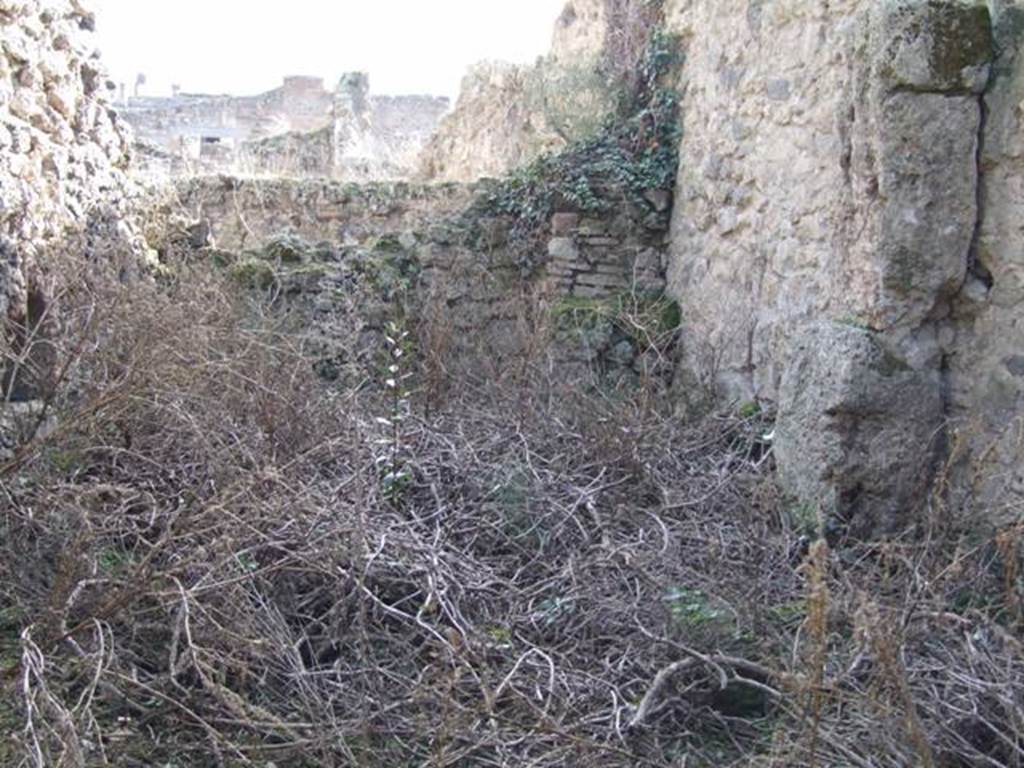 V.2.15 Pompeii. December 2007. Room 11e, looking south.