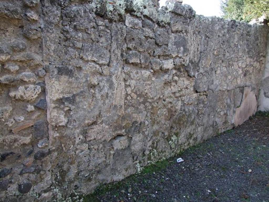 V.2.15 Pompeii. December 2007. Room 2, west wall.