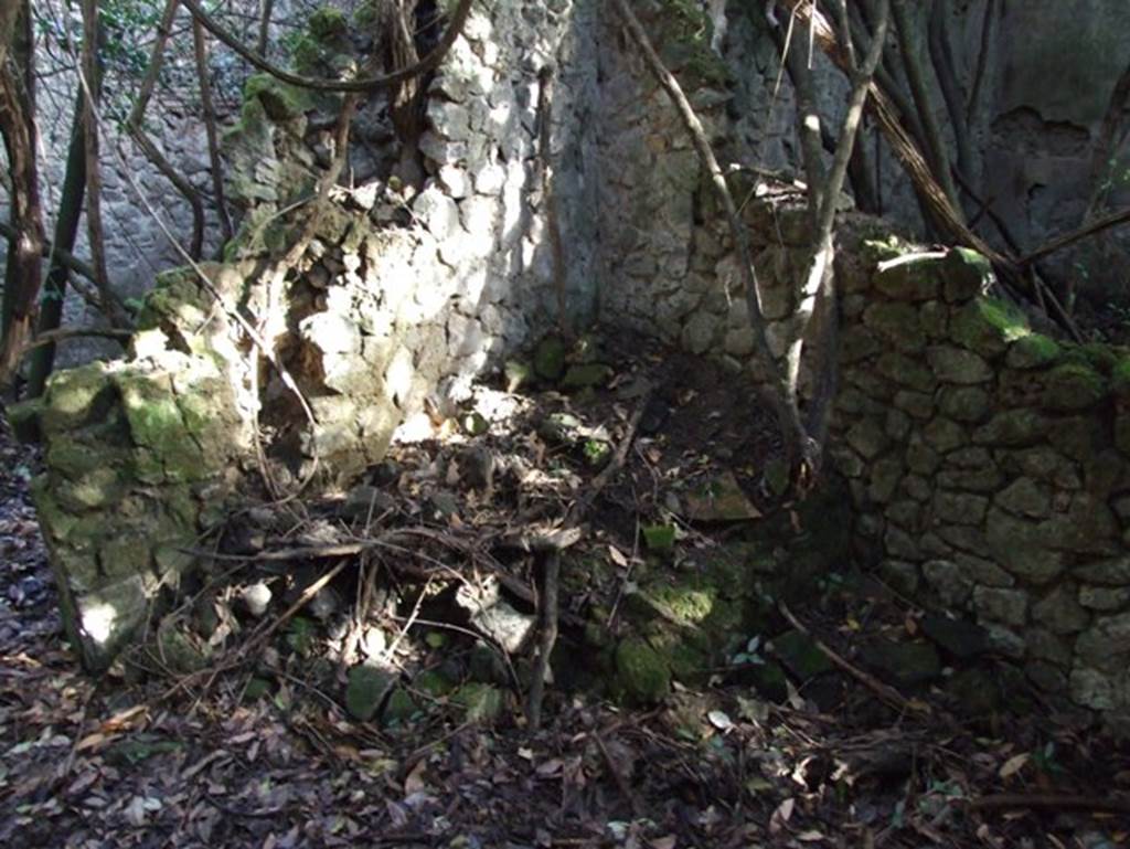 V.2.21 Pompeii. December 2007. South-east corner of atrium, with remains of structure, perhaps podium/hearth. 