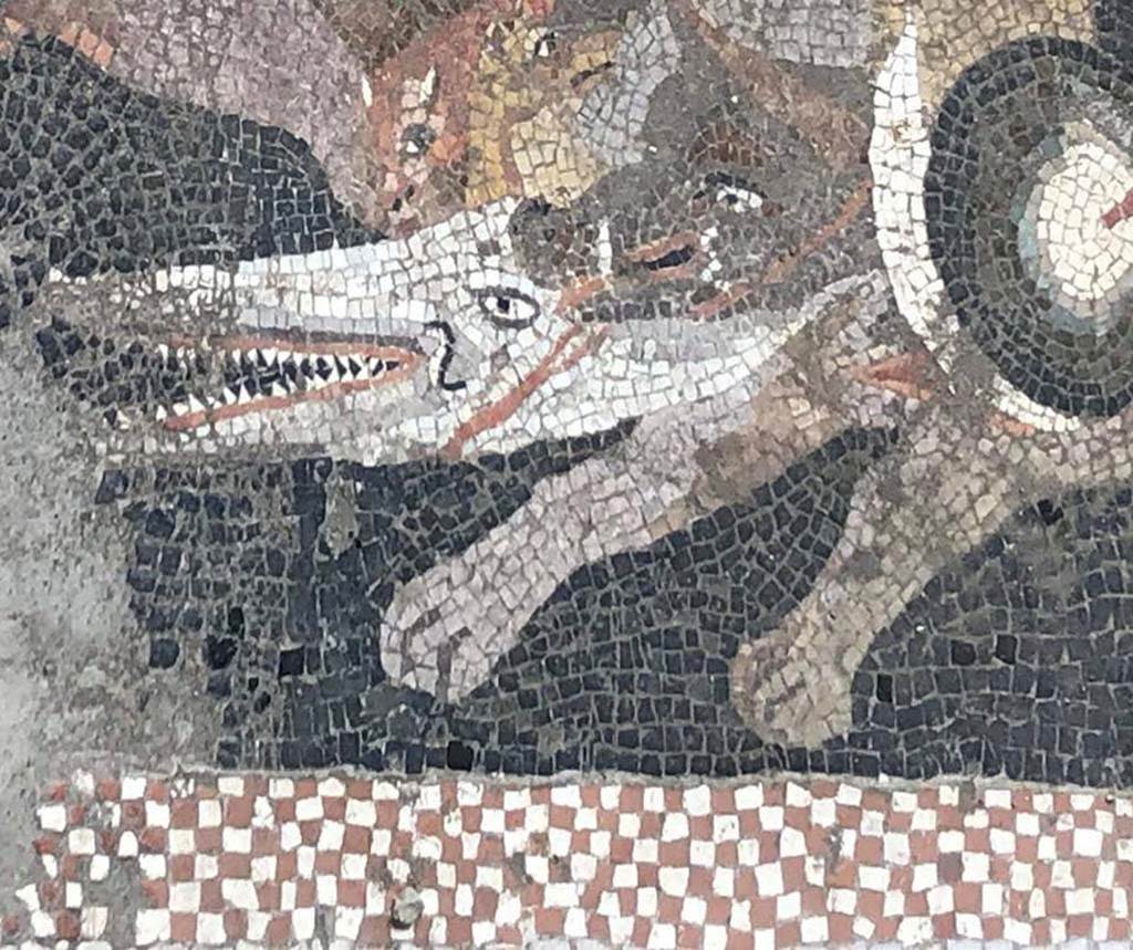 V.2.15 Pompeii. June 2018. Room A6 during 2018 excavations. Part of mosaic floor with crocodile and boar and other animals.
Photograph © Parco Archeologico di Pompei.
