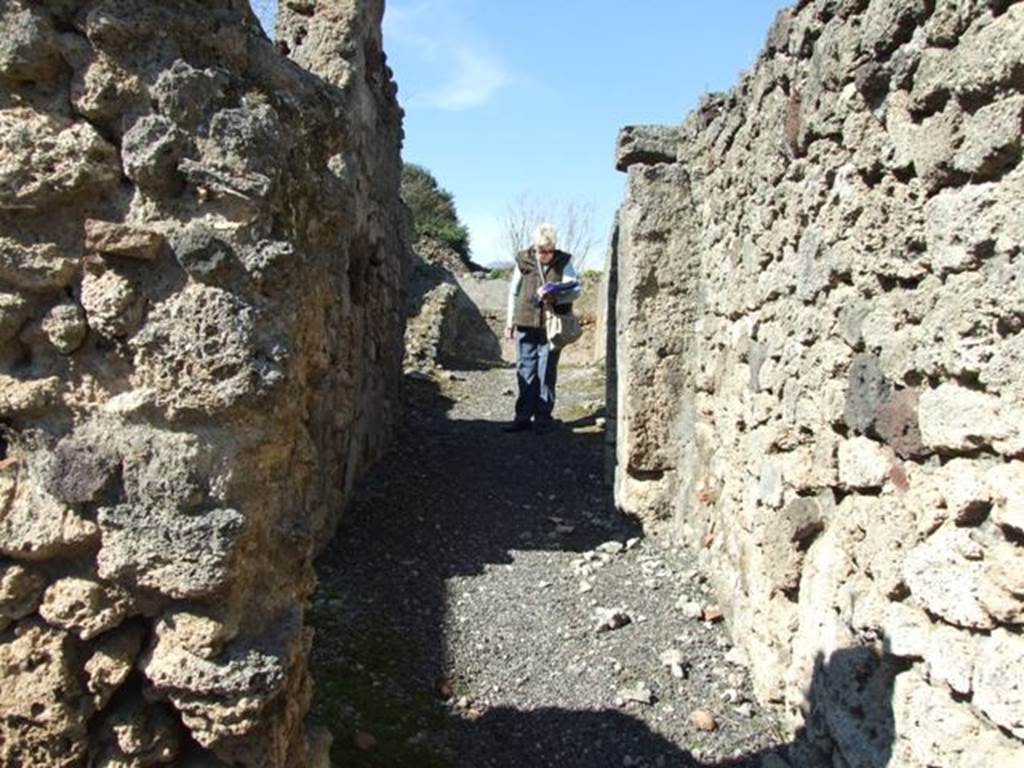 V.3.7 Pompeii.  March 2009.  Andron or passageway to Garden and Services area.  Looking north.