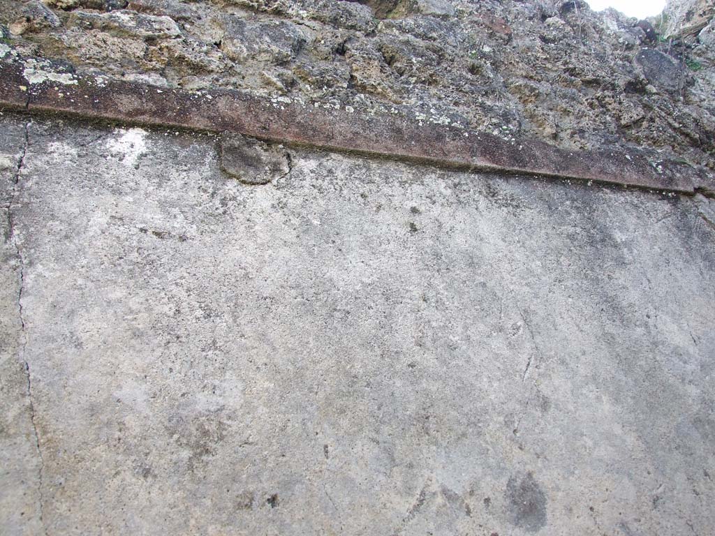 V.3.8 Pompeii. March 2009. South wall of latrine with remains of painted plaster.