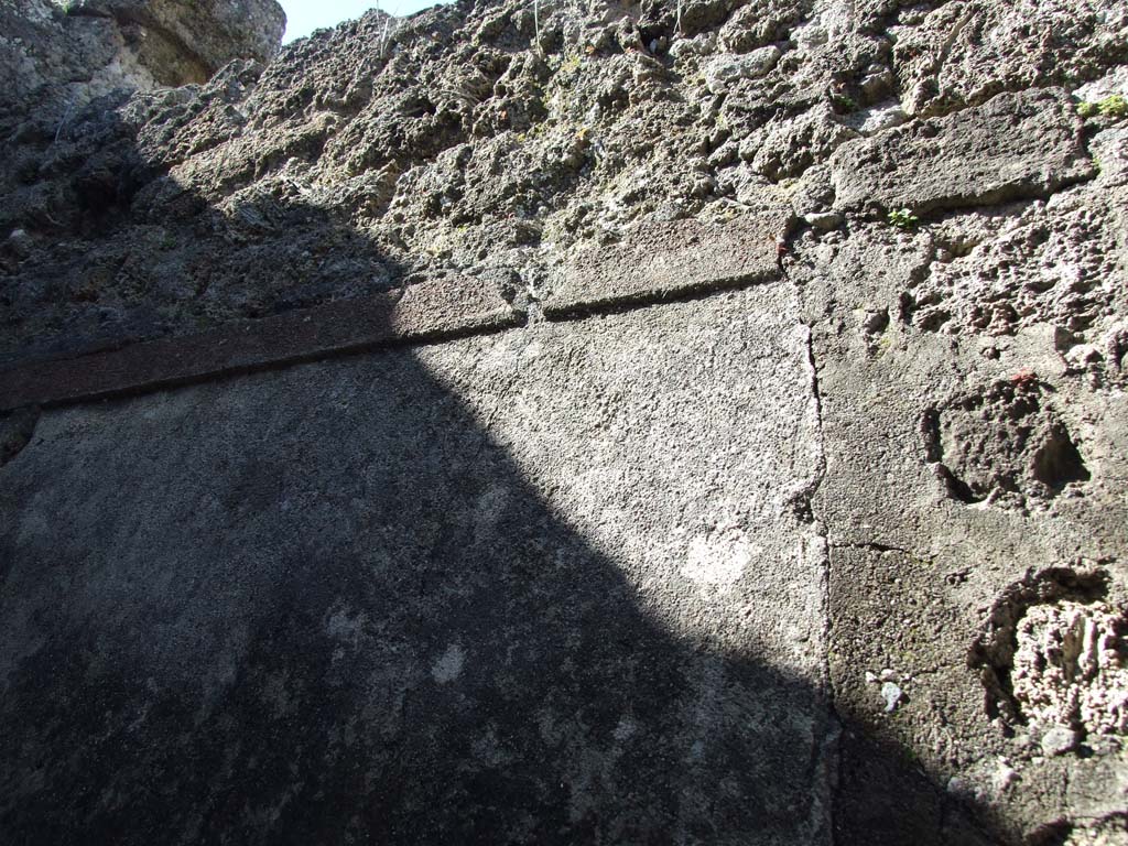 V.3.8 Pompeii. March 2009. North wall of latrine with remains of painted plaster.