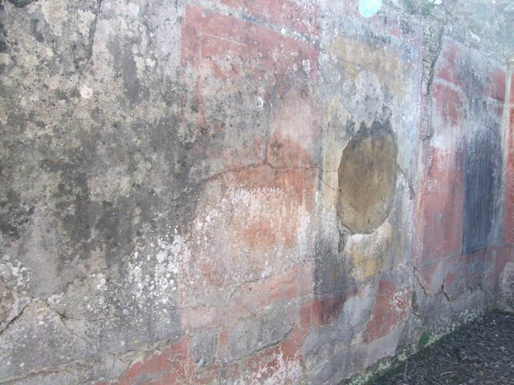 V.3.10 Pompeii.  March 2009.  Cubiculum.  South wall.