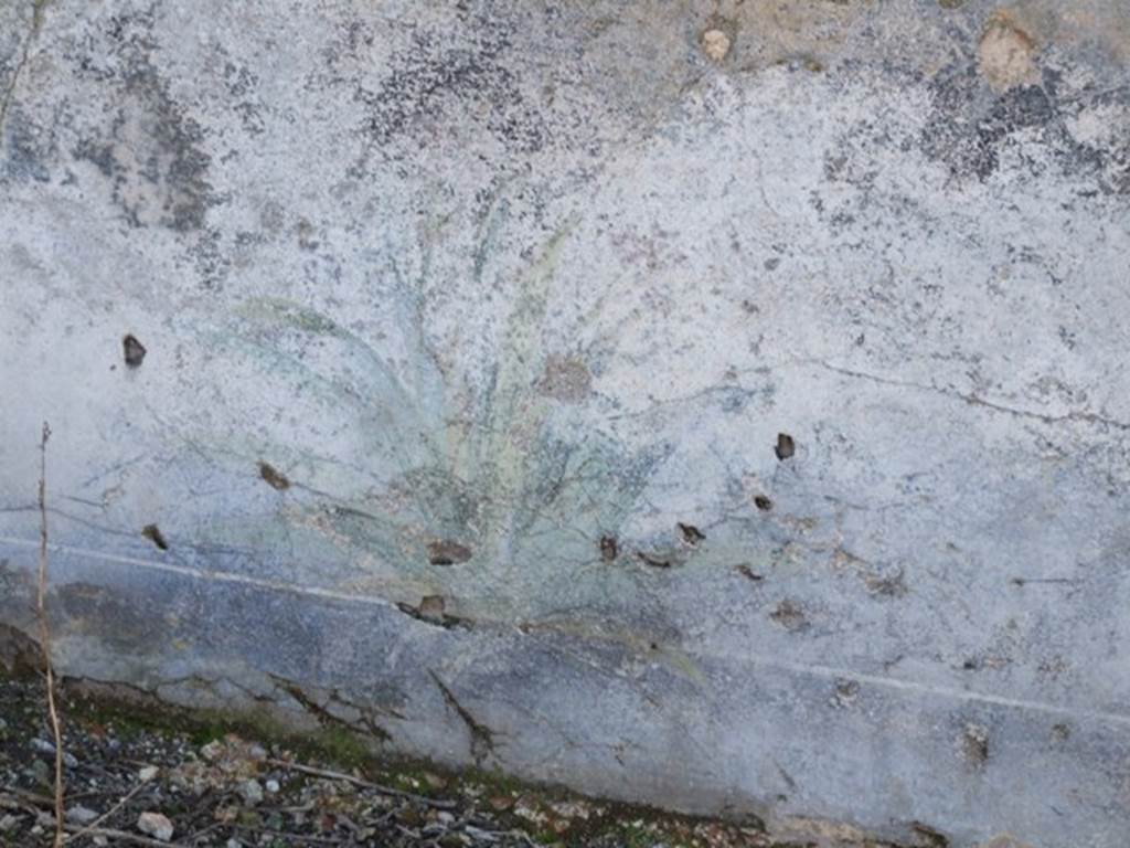 V.3.10 Pompeii.  March 2009.  West wall. Painted plants described as blue Iris and Cactus.  See Warscher, T., 1925. Pompeji: Ein Führer durch die Ruinen. Berlin und Leipzig: de Gruyter, p 125 .
