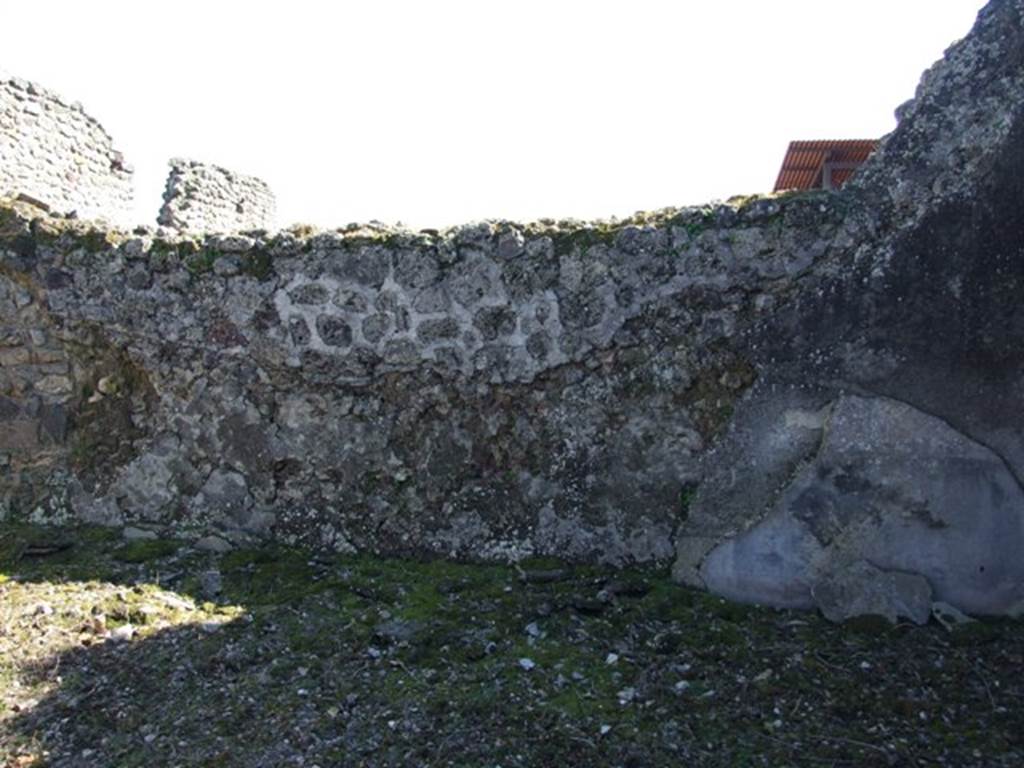 V.3.10 Pompeii.  March 2009.  Triclinium.  South wall.