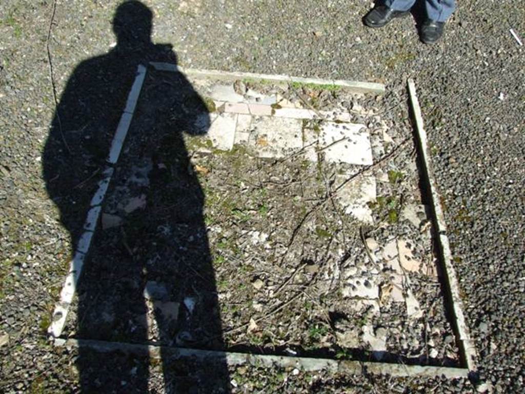 V.3.11 Pompeii. March 2009.  Impluvium in Atrium. Looking east.