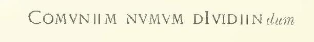 V.4.1 Pompeii. And on the same wall, on the right red right band, there was also graffiti: (See CIL IV 1597 and 1766)
COMVNIIM NVMVM DVIDIIN
See Notizie degli Scavi, 1891, p.272.