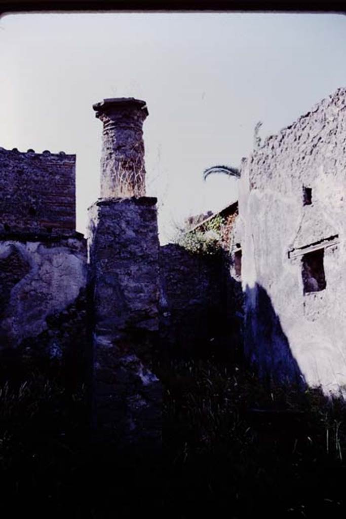 V.4.3 Pompeii. 1978. Looking north into garden area. Photo by Stanley A. Jashemski.   
Source: The Wilhelmina and Stanley A. Jashemski archive in the University of Maryland Library, Special Collections (See collection page) and made available under the Creative Commons Attribution-Non Commercial License v.4. See Licence and use details. J78f0281
