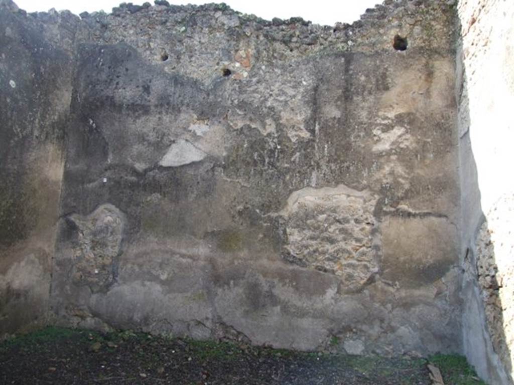 V.4.9 Pompeii.  March 2009.  West wall of large room.