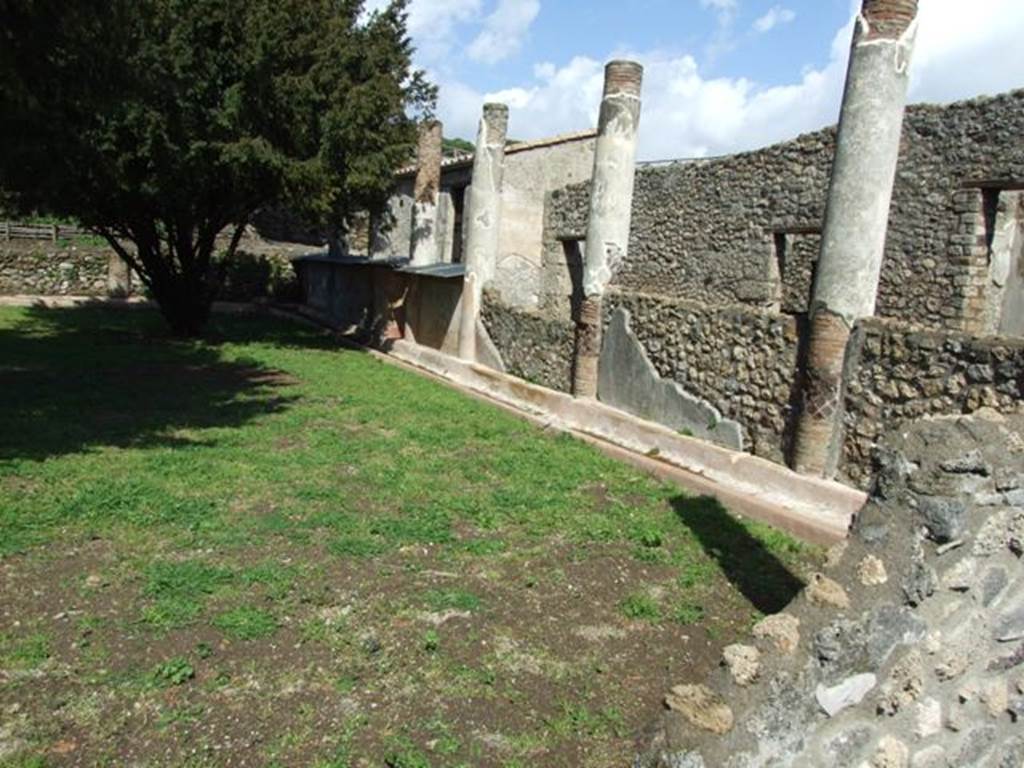 V.5.3 Pompeii. March 2009. Looking north-east along remains of inner side of painted east wall of room 7, the peristyle.
