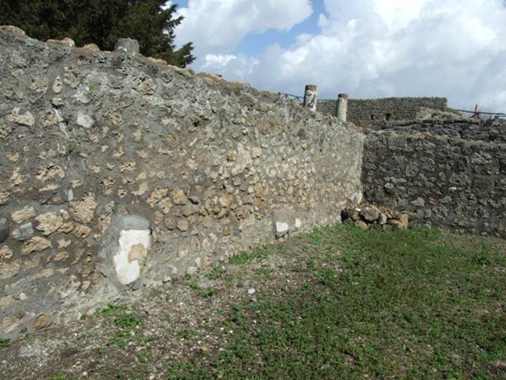 V.5.3 Pompeii. March 2009. Room 11, looking north-east across triclinium.