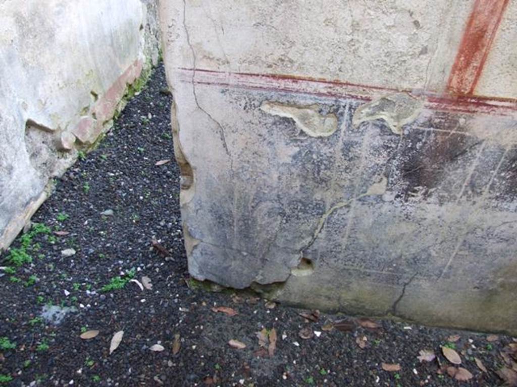 V.5.3 Pompeii.  March 2009.  Room 14.  North wall with painted plants, and corridor ro Room 13.