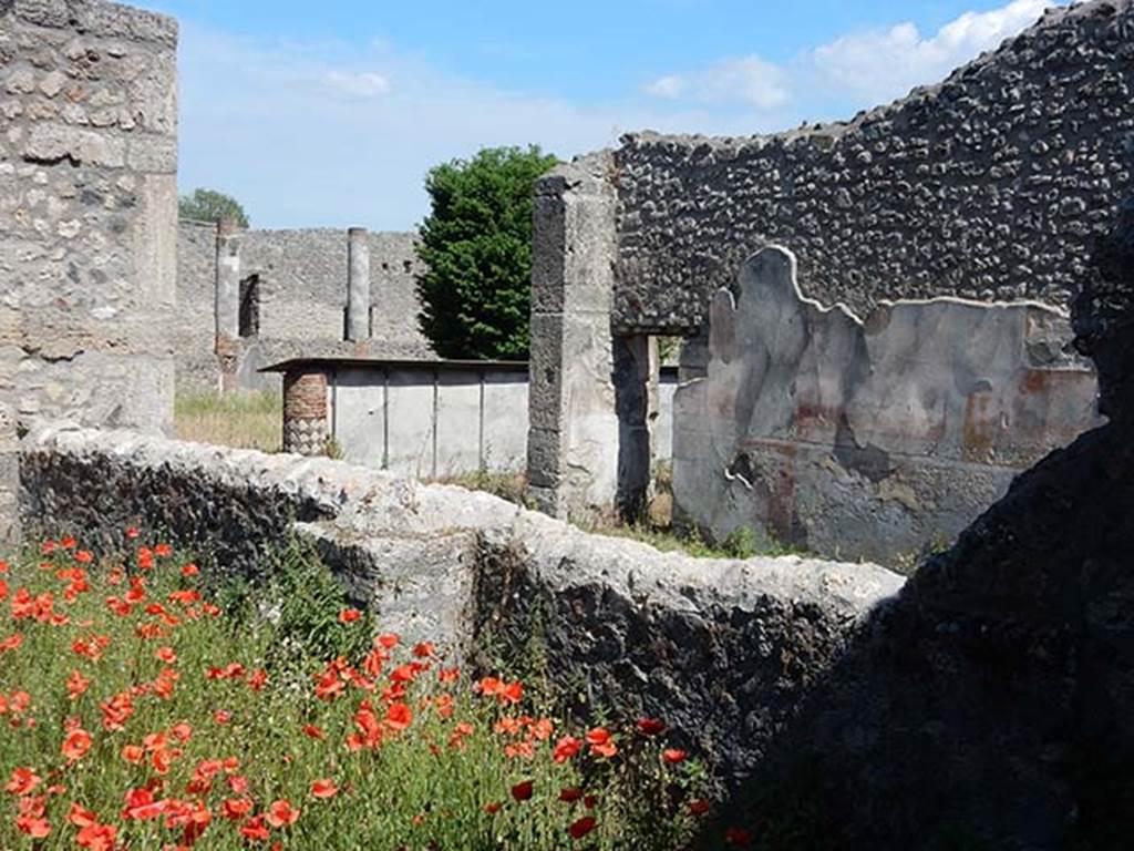 V.5.a Pompeii. May 2017. Looking south-east from Vicolo dei Gladiatori towards peristyle area. Photo courtesy of Buzz Ferebee.
