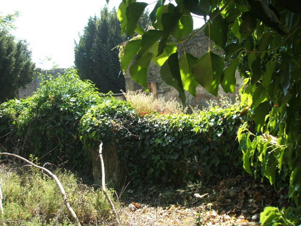 V.5.a Pompeii. May 2005. Looking south-east from Vicolo dei Gladiatori.