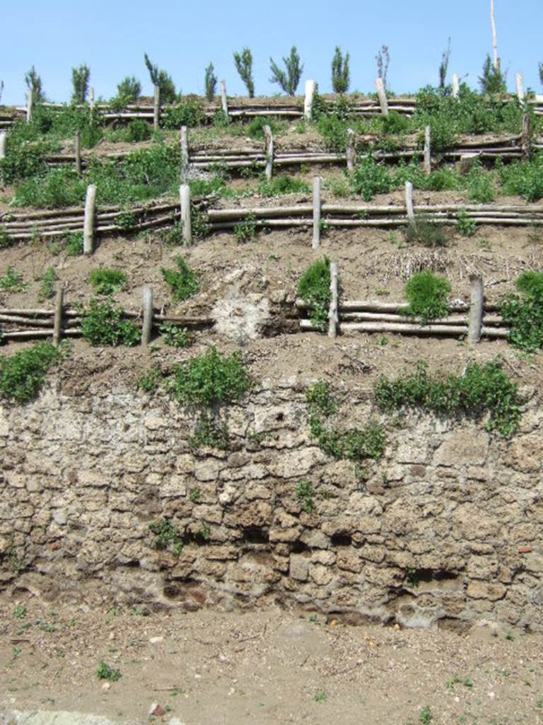 V.6.7 Pompeii. May 2006. Unexcavated façade.
The upper part of the rear of the unexcavated fountain / nymphaeum can be seen above the boundary wall, in the centre.
