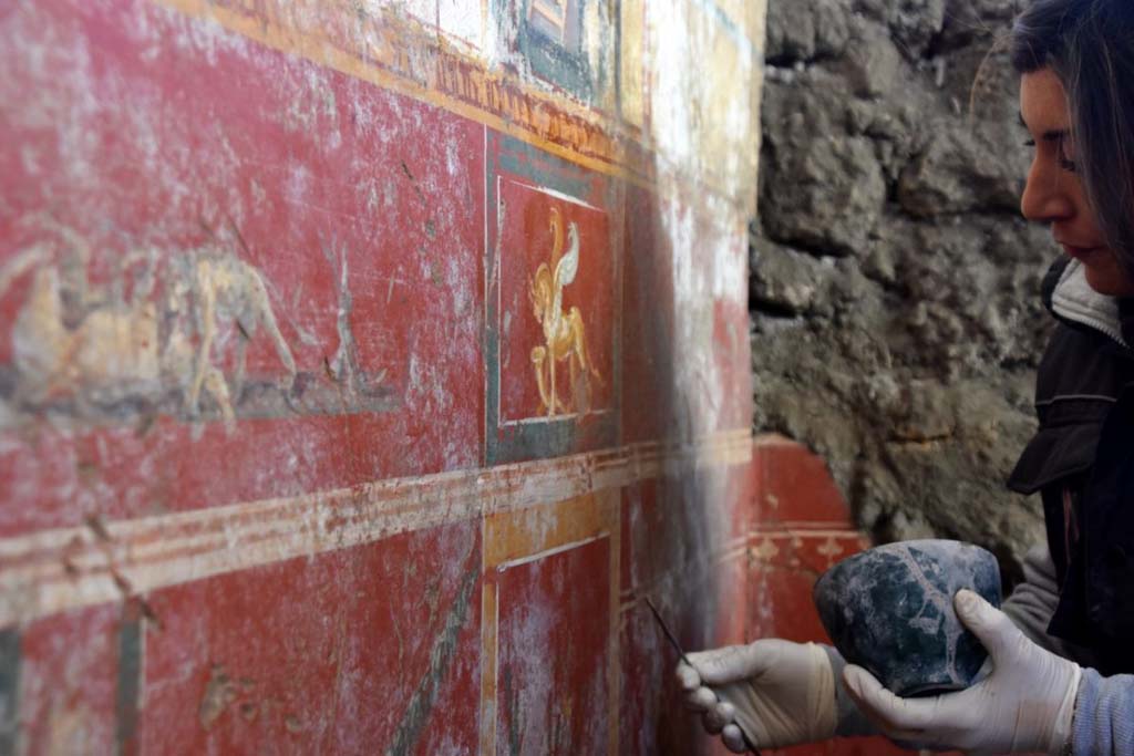 V.6.12 Pompeii. February 2019. Amb. 9. Lower wall of cubiculum with griffin with cornucopias and scene of animals in combat. 

Parete inferiore di cubiculum con delicati ornamenti floreali, intervallati da grifoni con cornucopie, nature morte e scene di lotte tra animali.

Photograph © Parco Archeologico di Pompei.
