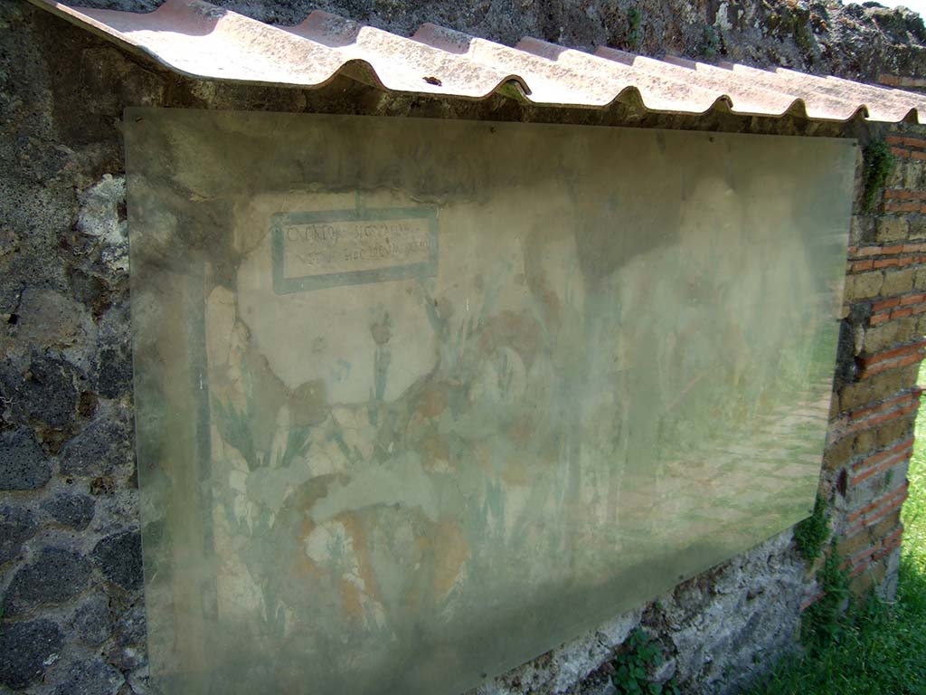 V.6.19 Pompeii. May 2006. Lararium painted on the wall at V.6.19. 
This shows two serpents moving through plants to an altar that had offerings on it.
In the top left-hand side, CIL IV 6641 can be seen, written in the painted rectangle.
