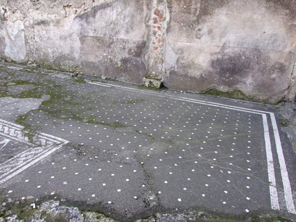 VI.1.7 Pompeii. December 2007. Mosaic floor in atrium, south-west corner.