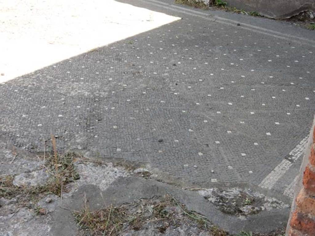 VI.1.7 Pompeii. May 2017. Detail of flooring in south-west corner of atrium. Photo courtesy of Buzz Ferebee.
