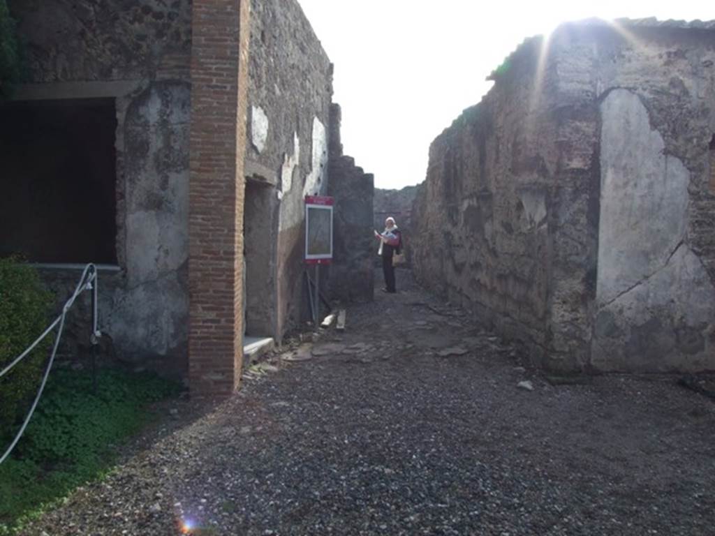 VI.1.10 Pompeii. December 2007. Looking south from garden area.