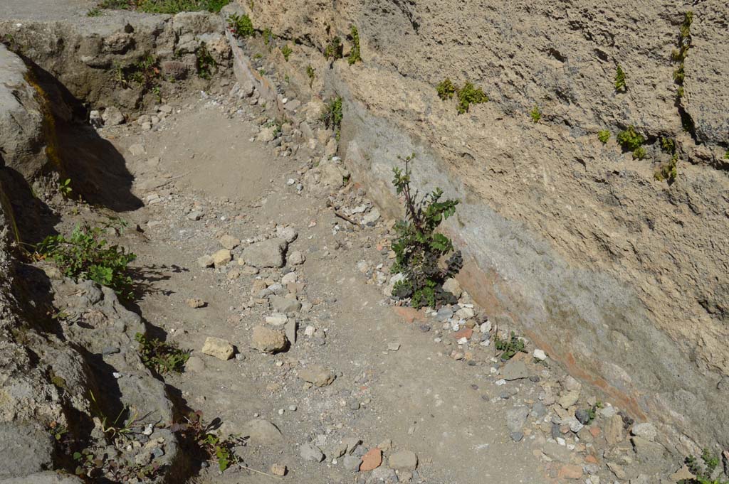 VI.1.10 Pompeii. March 2019. Detail of pavement and lower front façade wall. 
Foto Taylor Lauritsen, ERC Grant 681269 DÉCOR.
