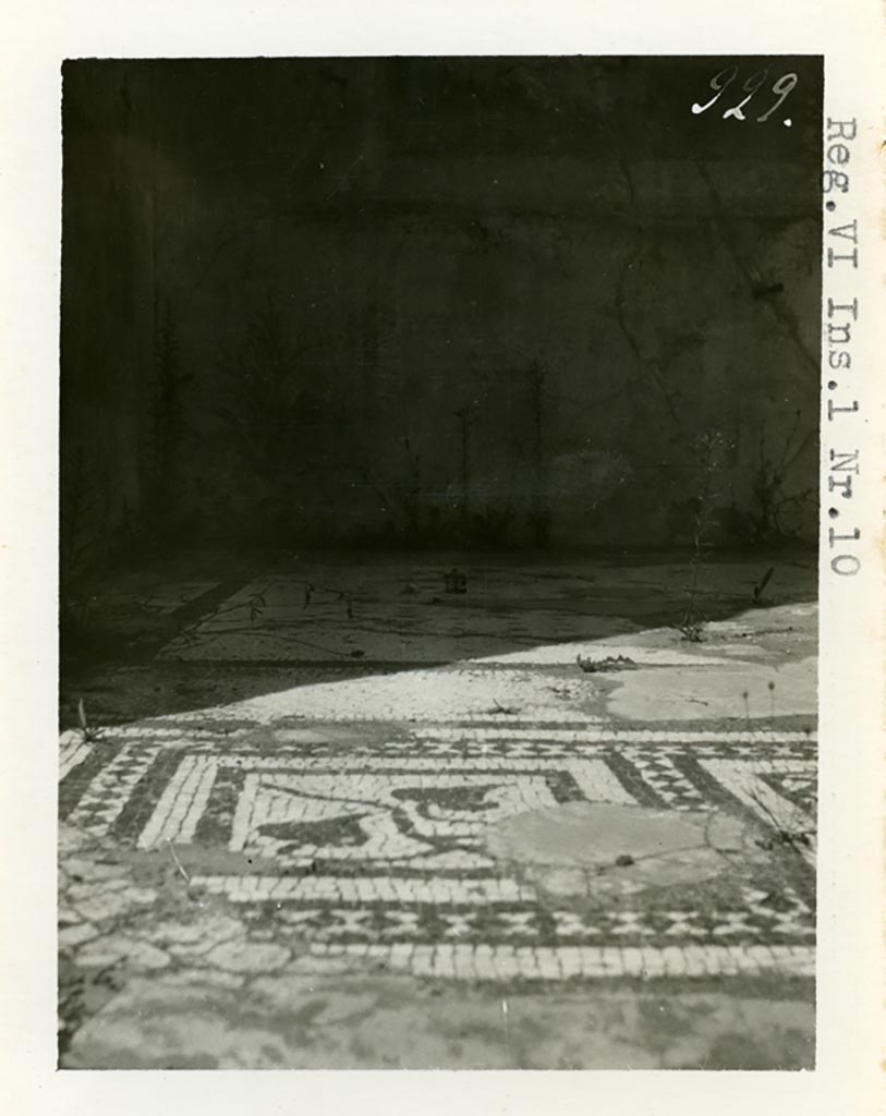 VI.1.10 Pompeii. Pre-1937-39. Room 4, looking north towards detail from mosaic floor in ala on north side of atrium.  
Photo courtesy of American Academy in Rome, Photographic Archive. Warsher collection no. 929.

