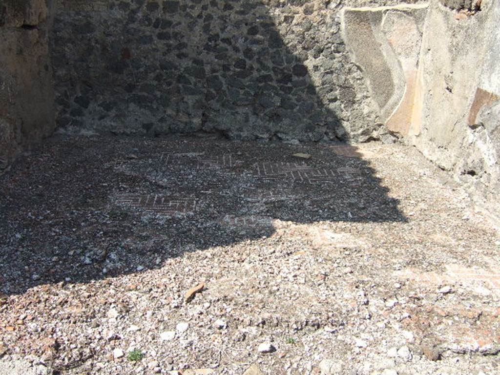 VI.2.11 Pompeii. September 2005. Floor of tablinum/exedra (5), looking north.