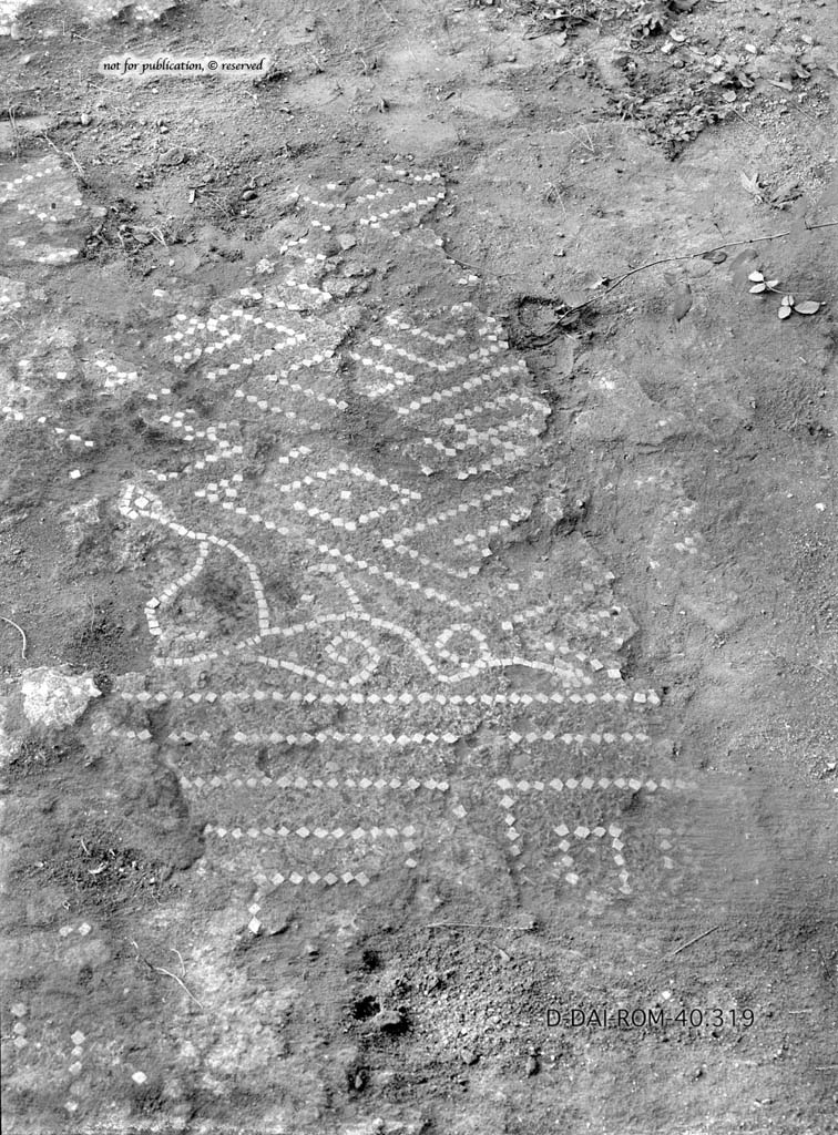 VI.2.13 Pompeii.c.1930. Flooring in tablinum. 
DAIR 40.319. Photo  Deutsches Archologisches Institut, Abteilung Rom, Arkiv.
See Pernice, E.  1938. Pavimente und Figrliche Mosaiken: Die Hellenistische Kunst in Pompeji, Band VI. Berlin: de Gruyter, (tav. 11.2, above.)
According to PPM,
Although poorly preserved, the flooring of the tablinum in cocciopesto showed a border of meanders and alternative squares and with a central emblema decorated with a diamond of meanders and plant stems in white tesserae.
See Carratelli, G. P., 1990-2003. Pompei: Pitture e Mosaici. 4. IV.Roma: Istituto della enciclopedia italiana, (p.163.)
