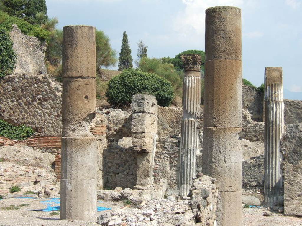 VI.2.18 Pompeii. September 2005. Looking north-east across garden area.