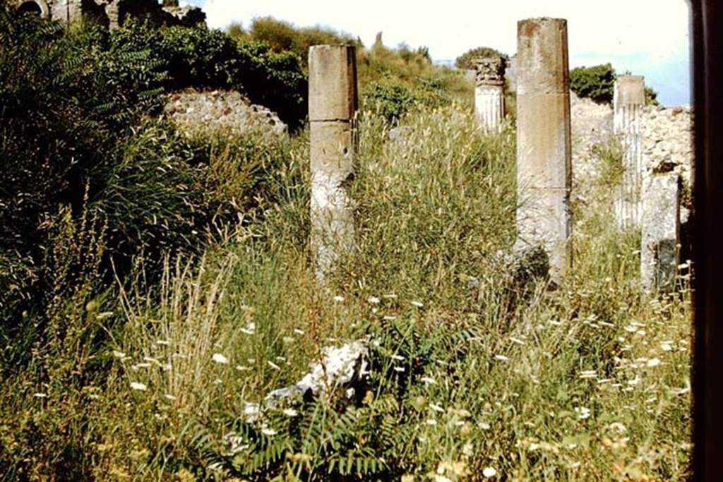 VI.2.18 Pompeii. 1959. Looking east across garden area towards VI.2.19. Photo by Stanley A. Jashemski.
Source: The Wilhelmina and Stanley A. Jashemski archive in the University of Maryland Library, Special Collections (See collection page) and made available under the Creative Commons Attribution-Non Commercial License v.4. See Licence and use details.
J59f0576
