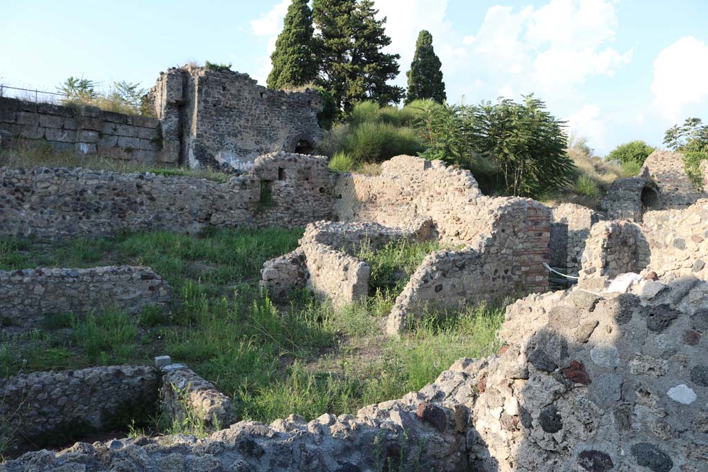 VI.2.19 Pompeii. December 2018. 
Looking north-east across the impluvium towards the entrance corridor onto Vicolo di Modesto. Photo courtesy of Aude Durand.
