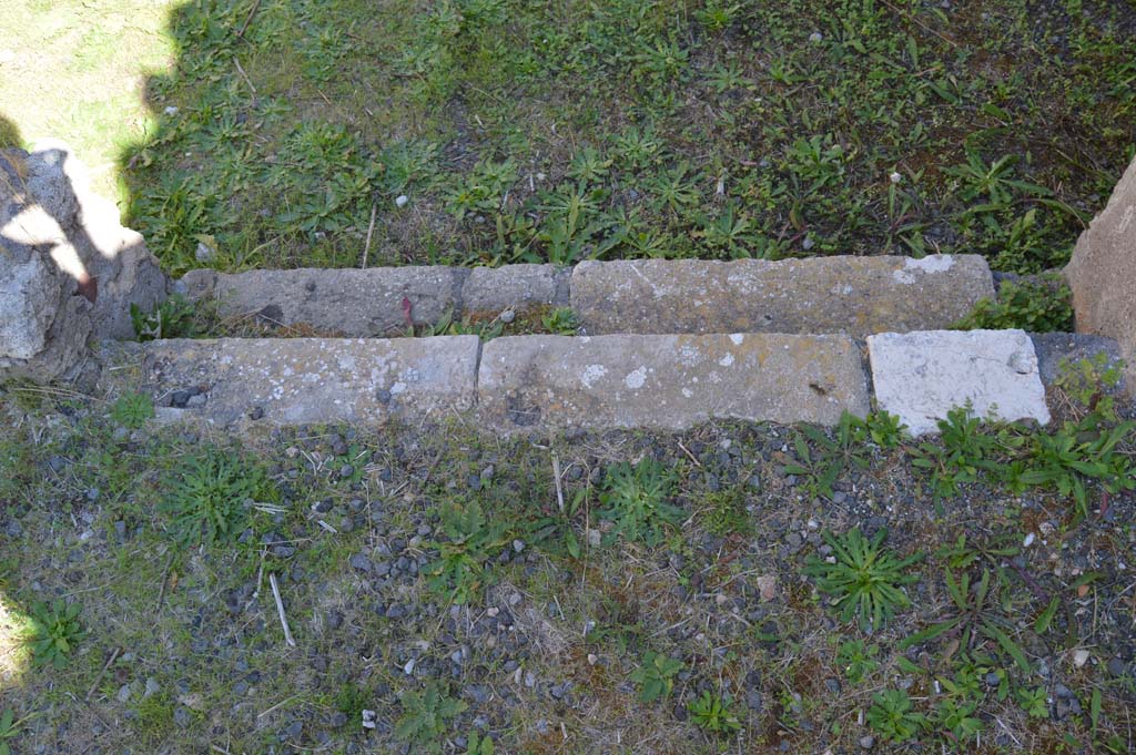 VI.2.22 Pompeii. October 2017. Looking east down steps from tablinum to atrium.
Foto Taylor Lauritsen, ERC Grant 681269 DÉCOR.
