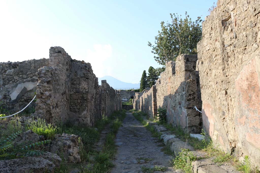 VI.5.9 Pompeii, on right. December 2018. 
Looking north in Vicolo di Modesto, between VI.2 and VI.5. Photo courtesy of Aude Durand.
