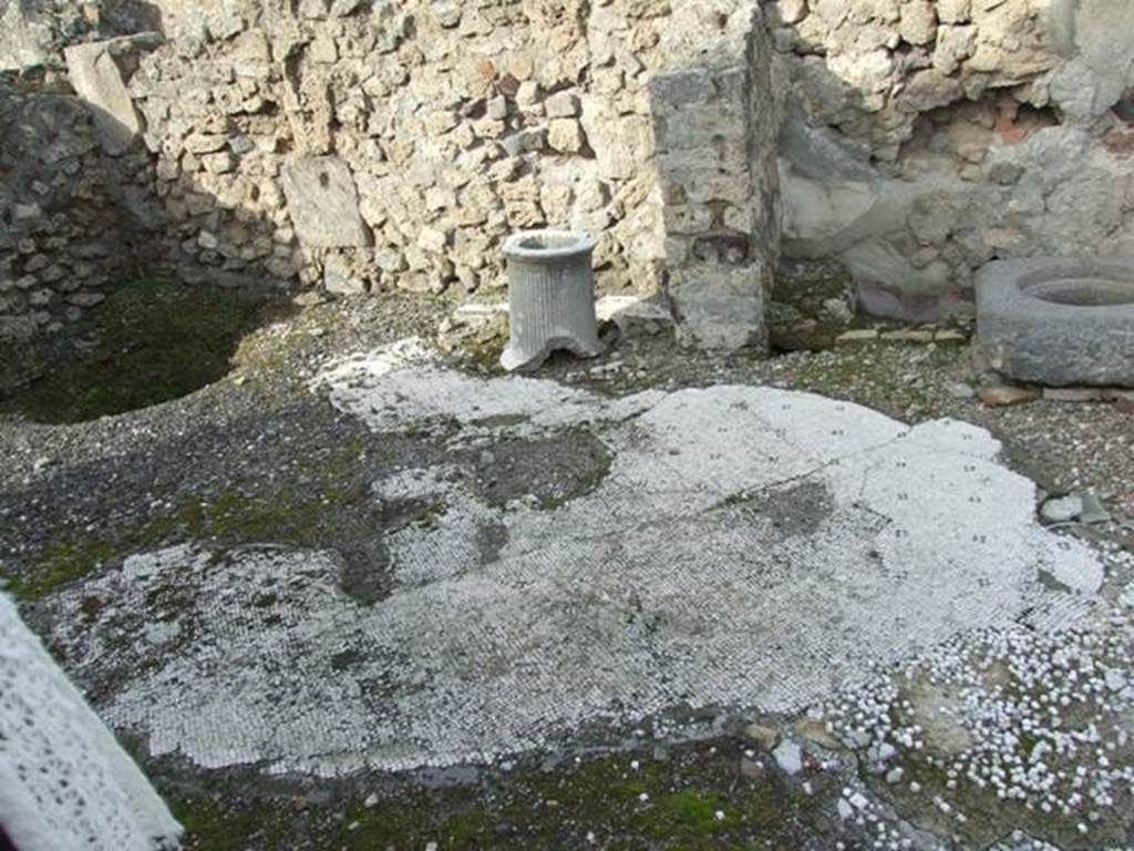 VI.5.9 Pompeii. December 2007. Looking north across tablinum, with mosaic floor.