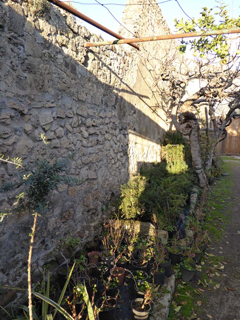 VI.6.12 Pompeii. January 2017. Looking east along interior of north wall.
Foto Annette Haug, ERC Grant 681269 DCOR.

