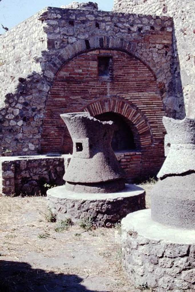 VI.6.17 Pompeii. 1968. Looking north across bakery. Photo by Stanley A. Jashemski.
Source: The Wilhelmina and Stanley A. Jashemski archive in the University of Maryland Library, Special Collections (See collection page) and made available under the Creative Commons Attribution-Non Commercial License v.4. See Licence and use details.
J68f1642
