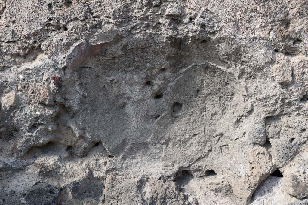 VI.6.17 Pompeii. December 2018. Detail from west wall. Photo courtesy of Aude Durand.