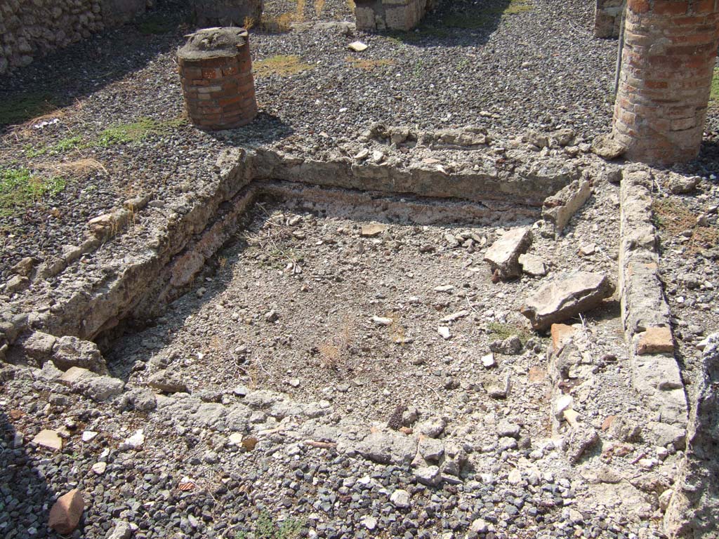 VI.7.3 Pompeii. September 2005. Room 1, impluvium in atrium, looking west.
According to Jashemski, Fiorelli thought the tetrastyle atrium had been given the character of a garden by planting flowers.
These had been planted in the little channels (canaletti) enclosing the impluvium. 
Today this is ruined, and nothing remains.
See Jashemski, W. F., 1993. The Gardens of Pompeii, Volume II: Appendices. New York: Caratzas. (p.129)
See Pappalardo, U., 2001. La Descrizione di Pompei per Giuseppe Fiorelli (1875). Napoli: Massa Editore. (p.57)

