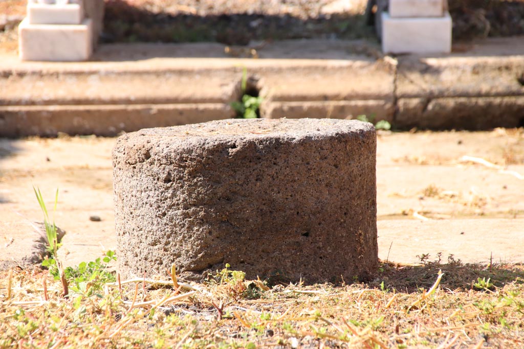 VI.7.19 Pompeii. October 2022. Detail from east side of impluvium in atrium. Photo courtesy of Klaus Heese. 