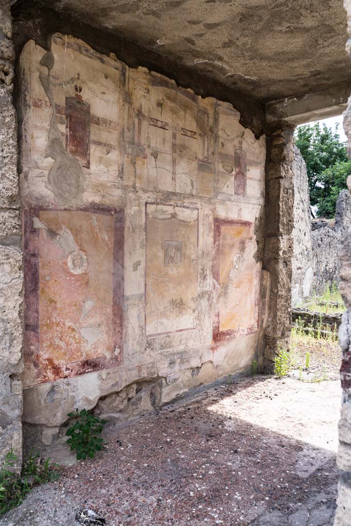 VI.7.23 Pompeii. July 2021. 
Looking west towards south wall of tablinum. Photo courtesy of Johannes Eber.
