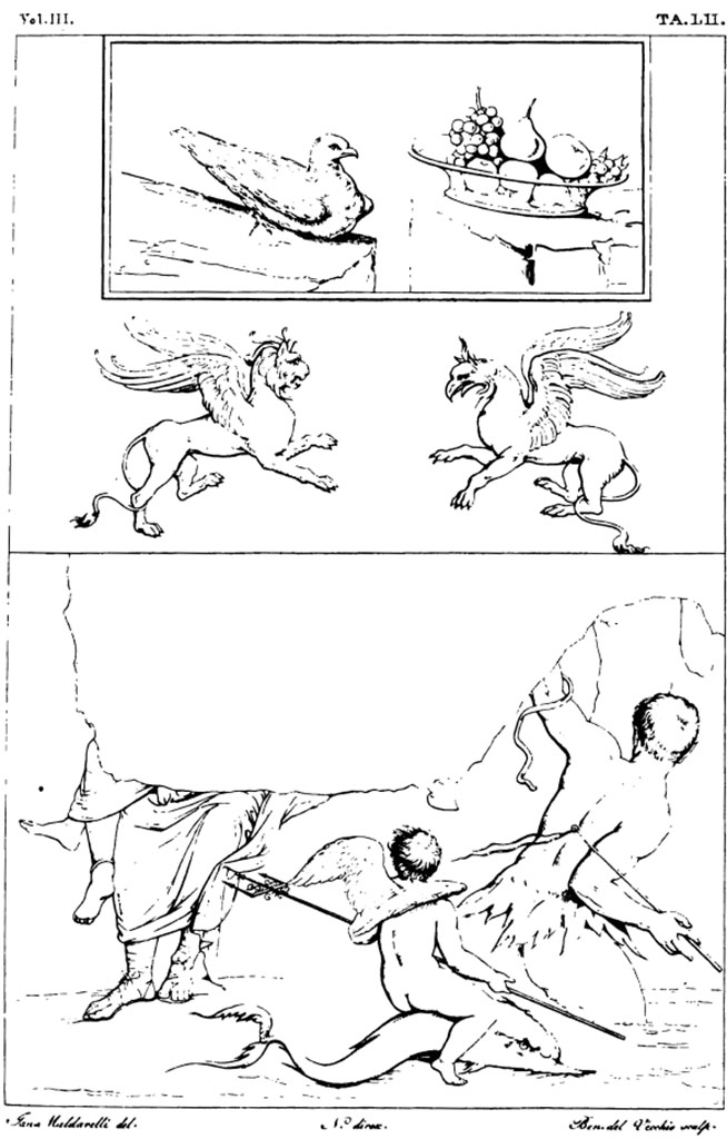 VI.8.3/5 Pompeii. Pre-1827. Drawings by Maldarelli of decorations and paintings from in the house.
Upper and centre – 
Room 12, the dove near to the glass dish full of fruit (top), and the imaginary animals (middle) are from the decoration on the north wall of the triclinium/exedra.
Lower drawing –
painting seen on the west wall of the atrium, showing a Cupid on a dolphin with the trident of Neptune in his hands, a triton, and the legs of other figures. 
See Real Museo Borbonico, Vol. III, 1827, Tav. LII (52).
