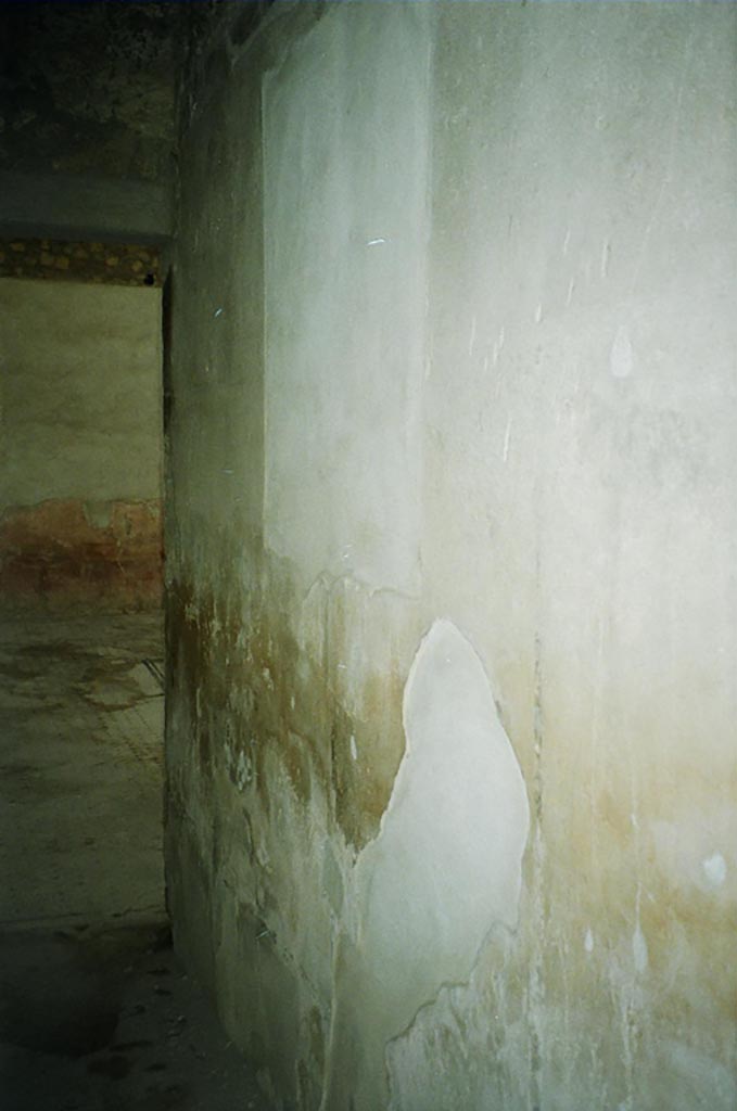 VI.8.3/5 Pompeii. July 2010. 
Room 5, west wall of corridor, looking south towards atrium. Photo courtesy of Rick Bauer.
